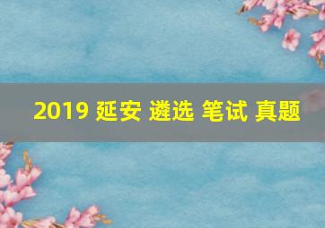 2019 延安 遴选 笔试 真题